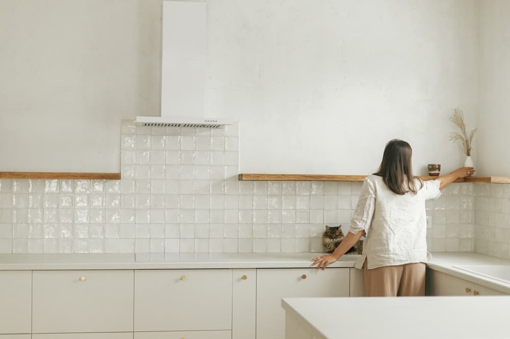 What is the meaning of move in cleaning